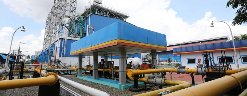 Analisis Saham RAJA: Peluang dan Tantangan di Tahun 2025