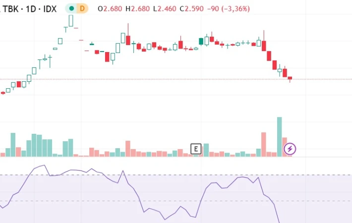 PACK - Analisis Fundamental