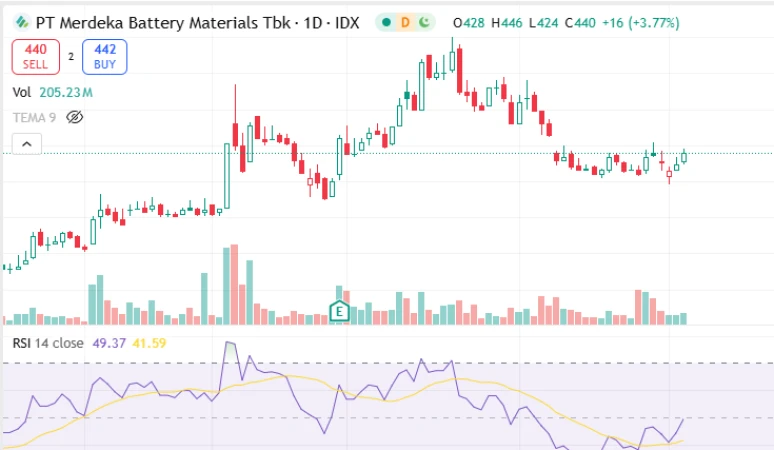 MBMA - Analisis Fundamental