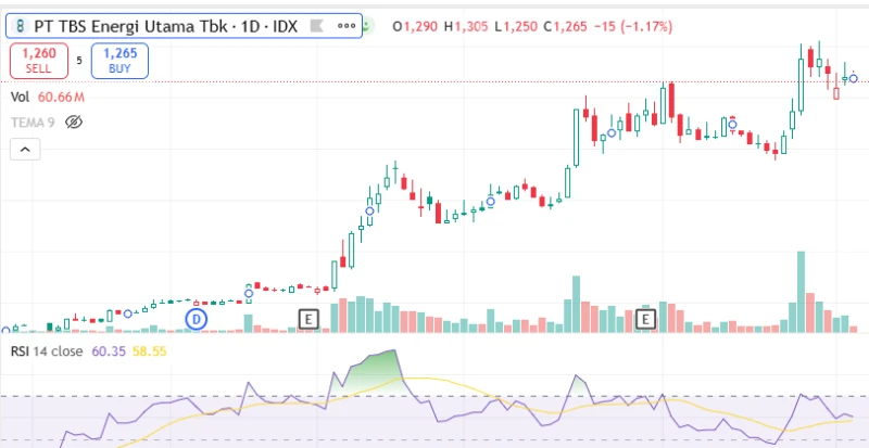 TOBA - Analisis Fundamental