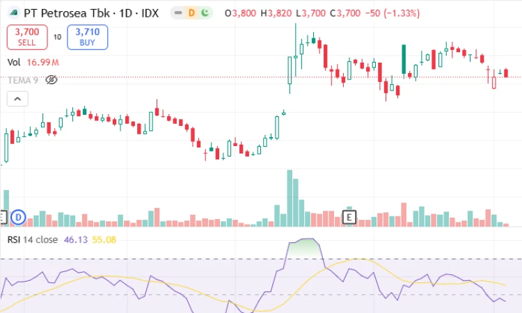 PTRO - Analisis Fundamental
