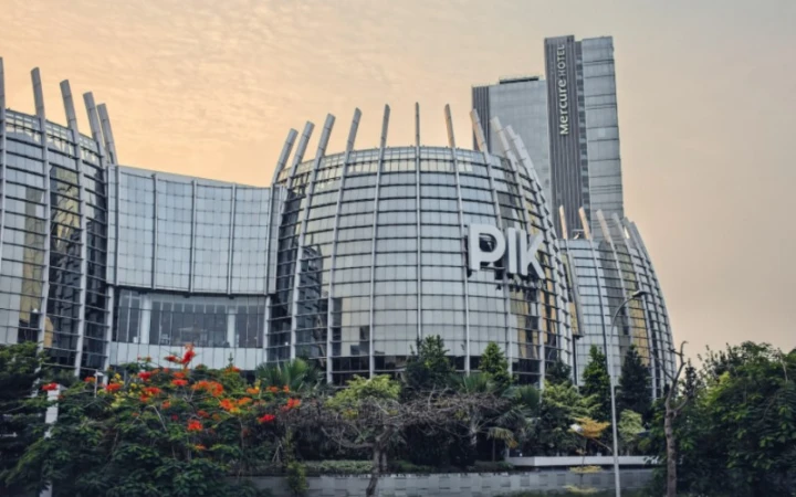 Saham PANI: Transformasi Bisnis dan Potensi Pertumbuhan Harga Saham