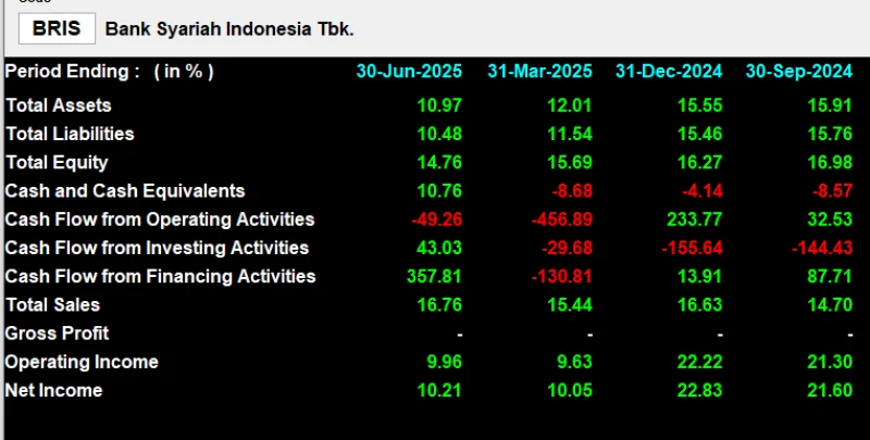 BRIS - Analisis Fundamental