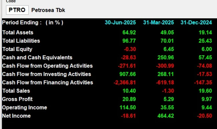 PTRO - Analisis Fundamental