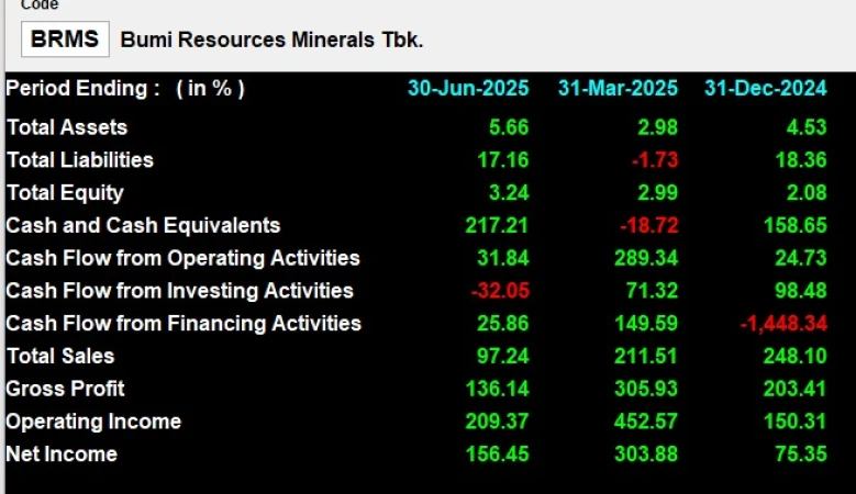 BRMS - Analisis Fundamental