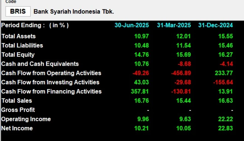 BRIS - Analisis Fundamental