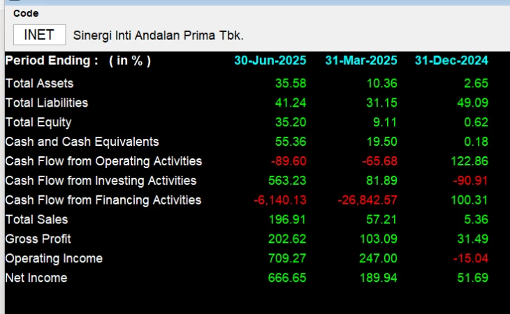 INET - Analisis Fundamental
