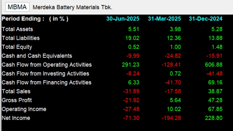 MBMA - Analisis Fundamental