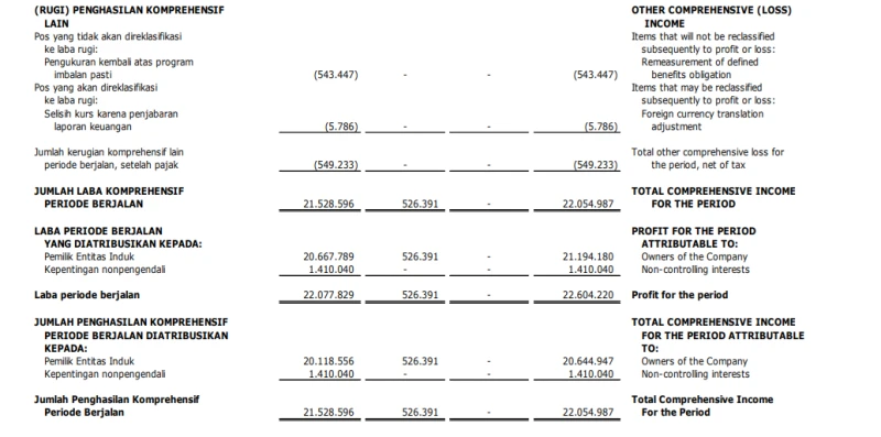 CDIA - Analisis Fundamental