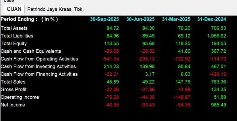 CUAN - Analisis Fundamental