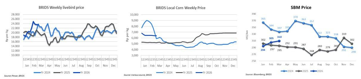 10 MARET 2026 (1).png