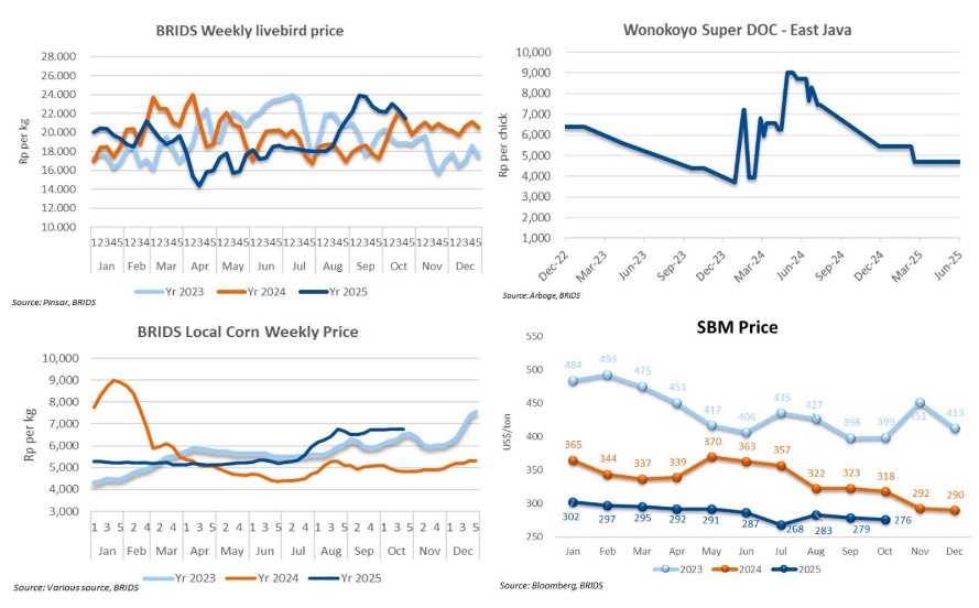 28 Oktober 2025 (4).png.jpg