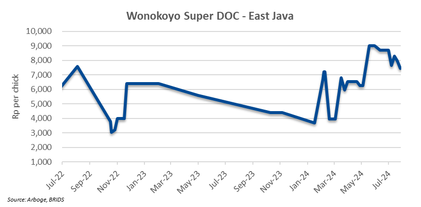 29 Okt 4 kanan atas.png