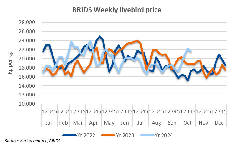 29 Okt 6 kanan bawah.png