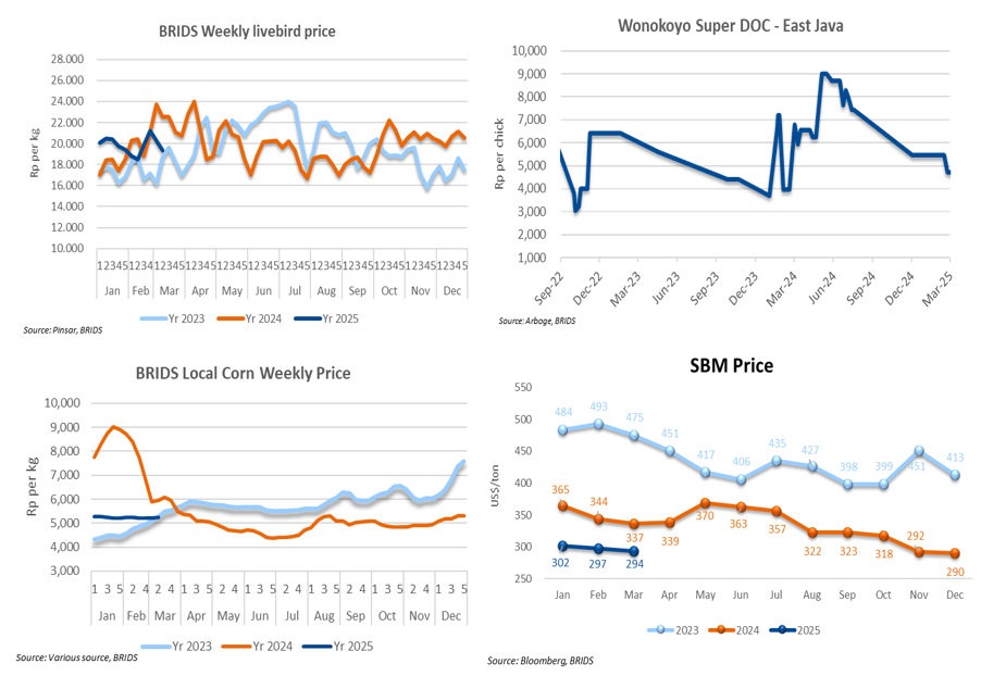 Equity Snapshot 17 Maret 2025 2.png
