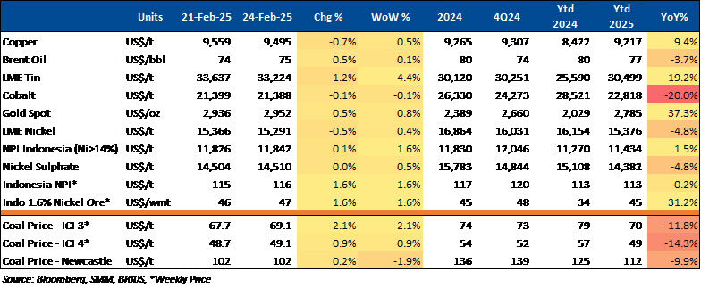 Equity Snapshot 25 Feb 2025 4.png